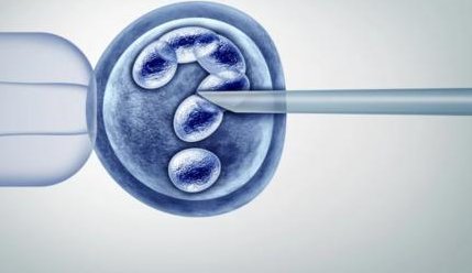 子宫肌瘤术后如何食补？子宫肌瘤患者如何选择美食？