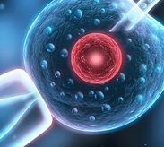 试管婴儿手术后多久测出怀孕？注意事项有哪些？