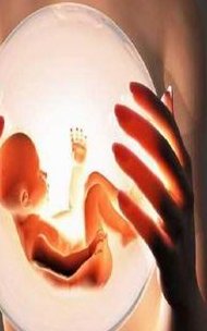 60s了解试管移植前针灸能不能提高成功率和效果，速览