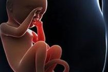 湖南三代试管选男孩医院排行费用详情？