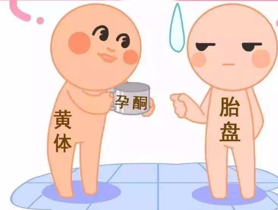 38岁试管促排卵泡少大多是卵巢异常？