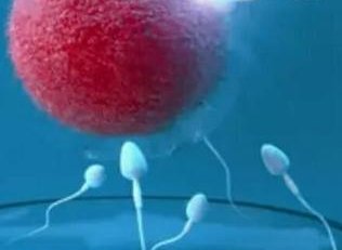 盆腔炎患者可不可以做一代试管婴儿？