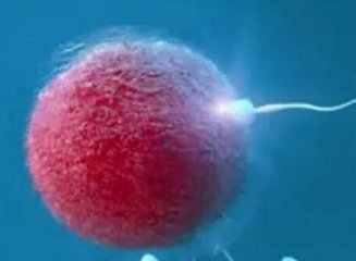 2026成都冻精流程是怎样的？费用是多少？